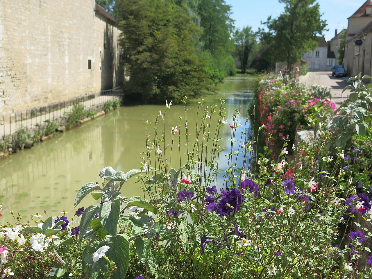 The Serein river and houses in Chablis