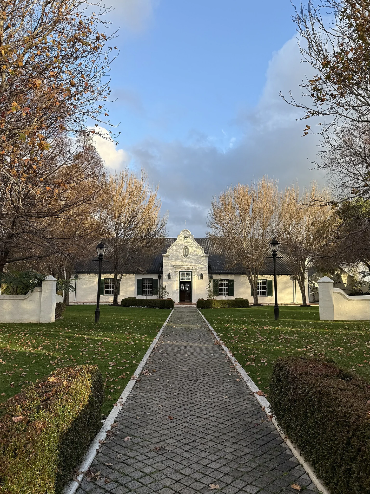 A tree-lined path leading to the white Cape Dutch-style buildings of Voyager Estate