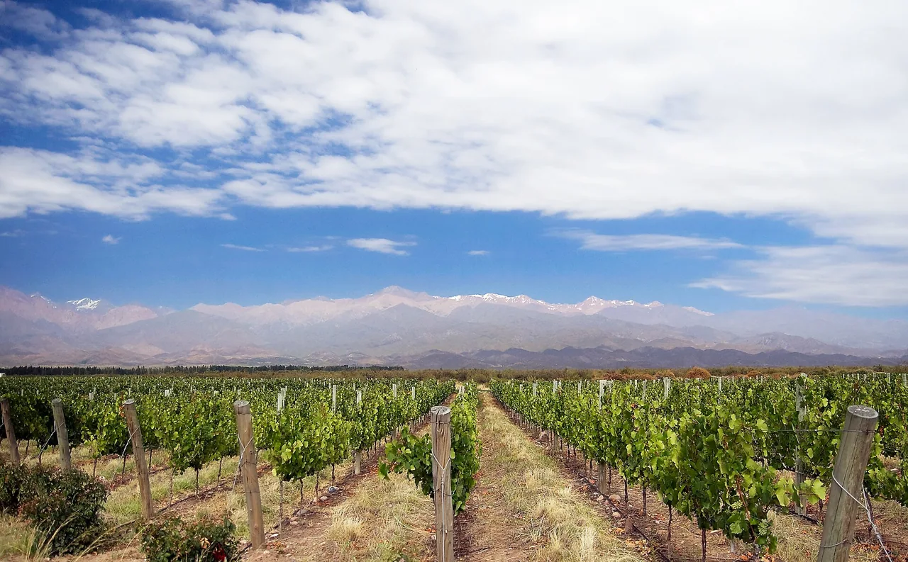 Uco Valley vineyards and the Andes, Mendoza