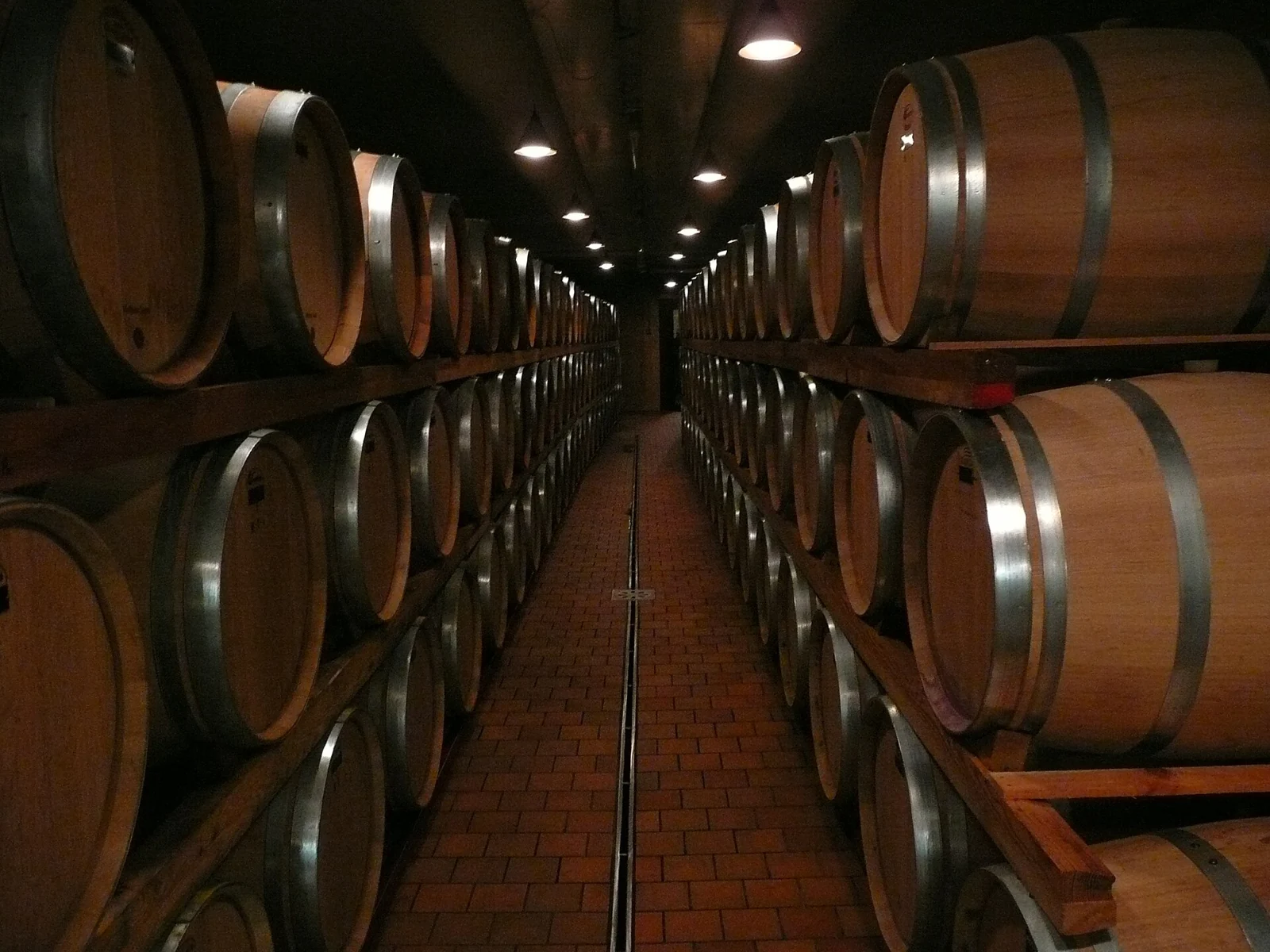 A brick-floored passage between large wooden casks in the Marchesi di Barolo cellars