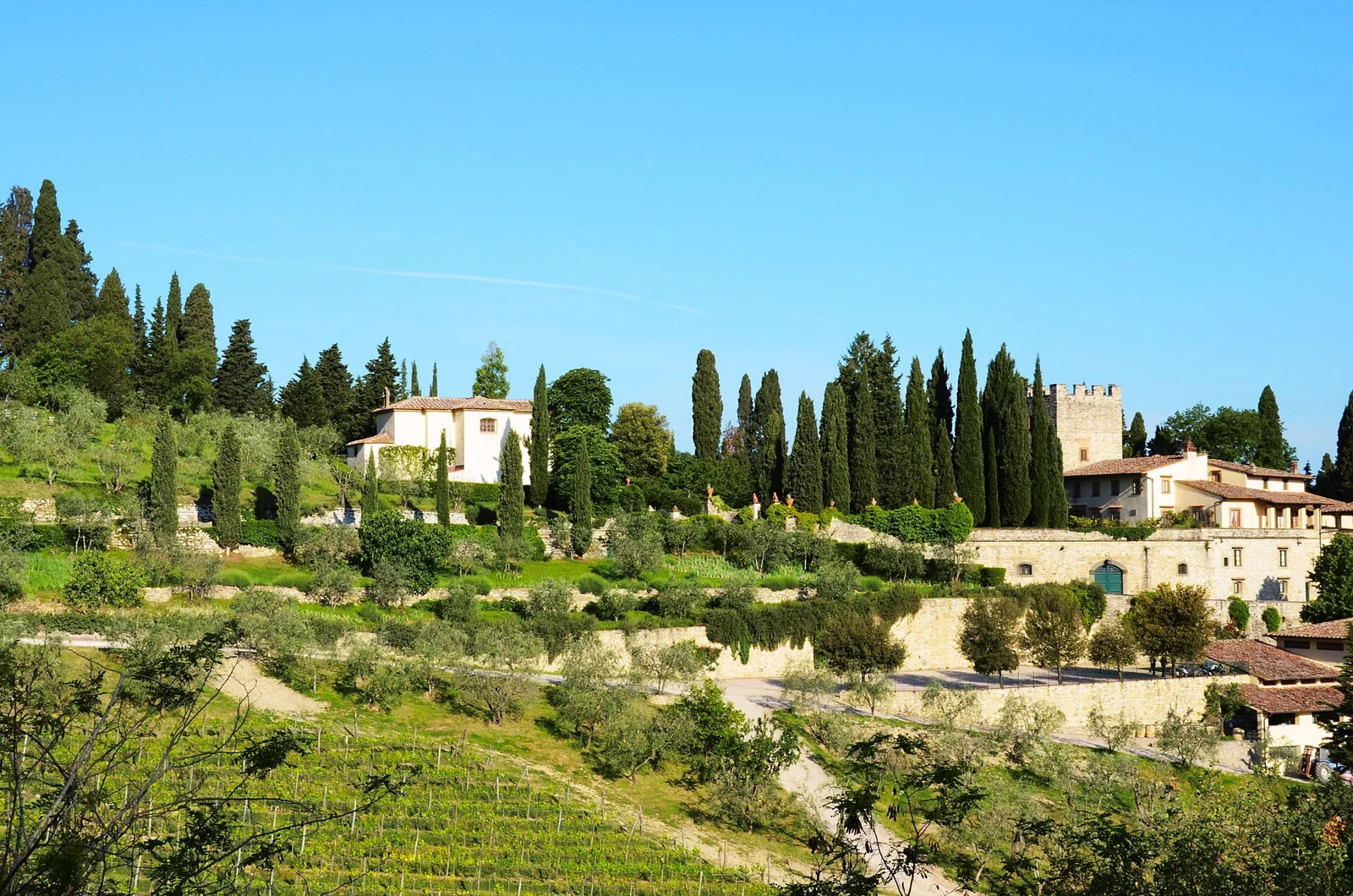 Castello di Verrazzano and its cypress trees above the vineyards